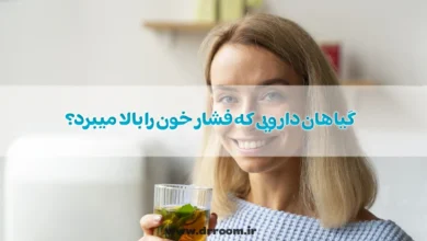 گیاهان دارویی که فشار خون را بالا میبرد؟